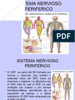 Sistema Nervioso Periferico1893