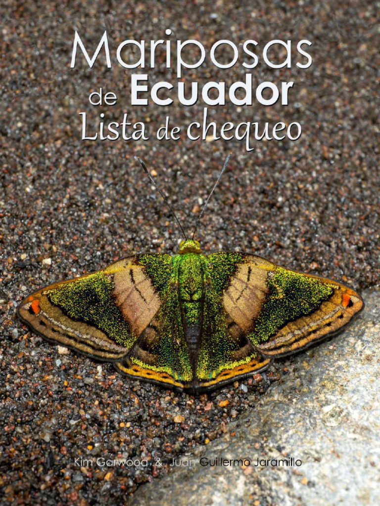 Papo -Pintado A Mano - Figura -Reino Animal Salvaje - Mariposa Amarilla  Nublada -50288 -Coleccionable - Para Niños - Adecuado Para Niños Y Niñas- A  Partir De 3 Años, Multicolor, image size:768x1024