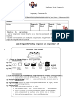 Prueba de Lenguaje Semestral