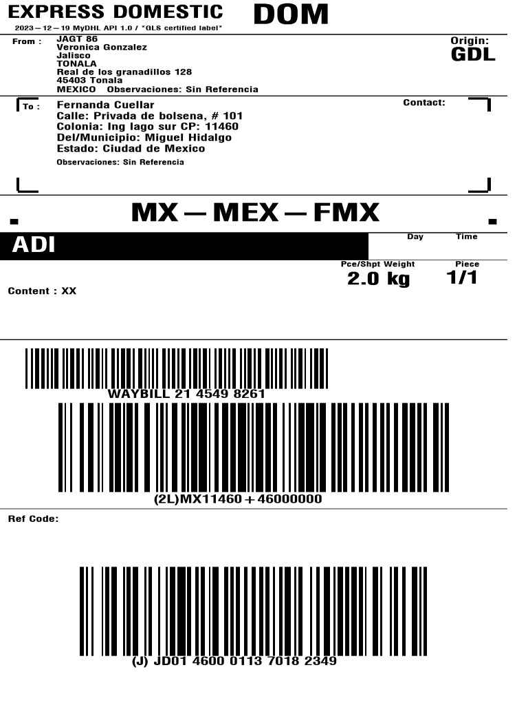 DHL Express Domestic Waybill Details | PDF