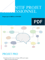 Dispositif Projet Professionnel