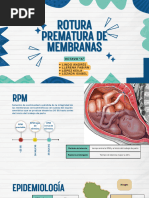 Prueba de Nitrazina y Cristalografía RPM | PDF