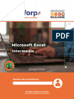 Manual Microsoft Excel Intermedio