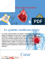 Prezentare Terminologie