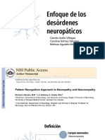 Enfoque de Los Desordenes Neuropaticos (PT)