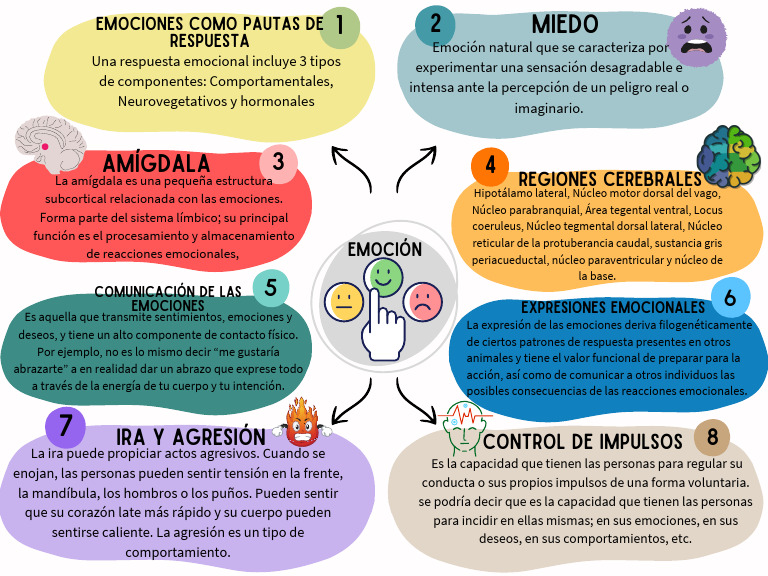 Comprendiendo el Miedo y la Ira | PDF | Las emociones | Hipotálamo