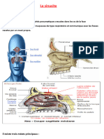 La Sinusite