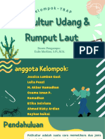 Polikultur Udang Dan Rumput Laut (2) - Compressed