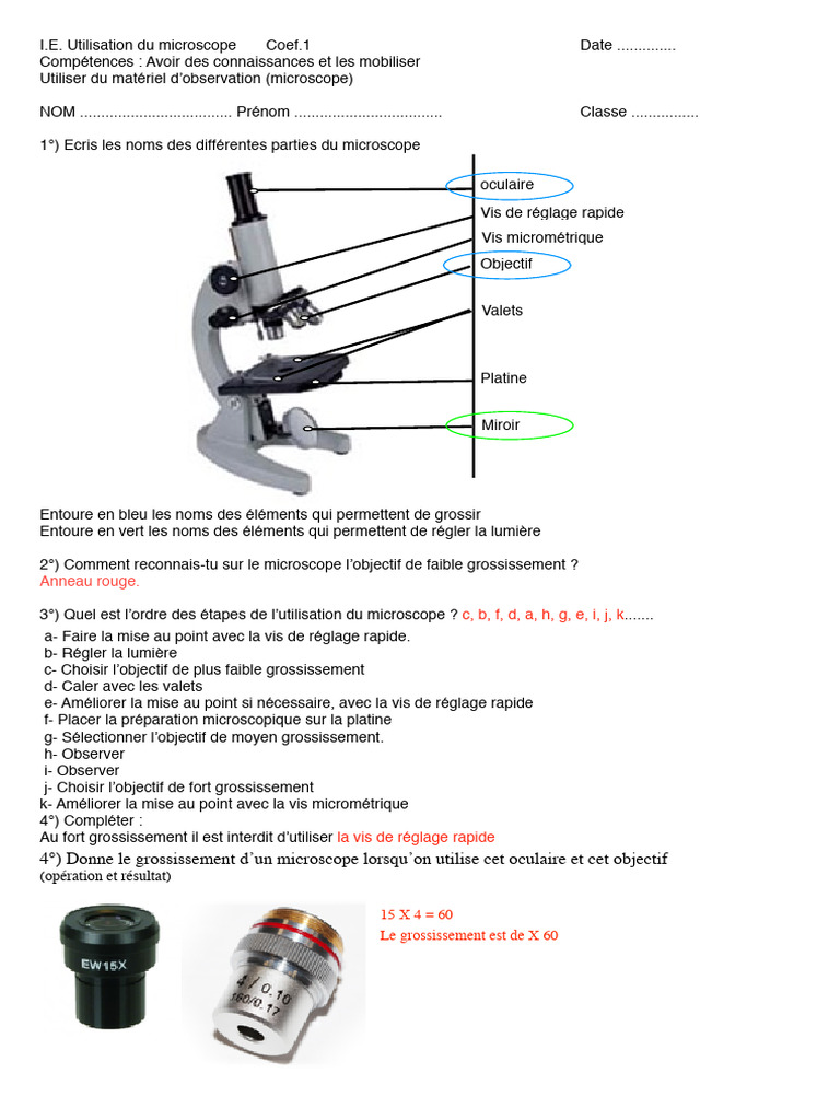 Évaluation microscope 6ème avec correction | PDF | Méthodes et ...