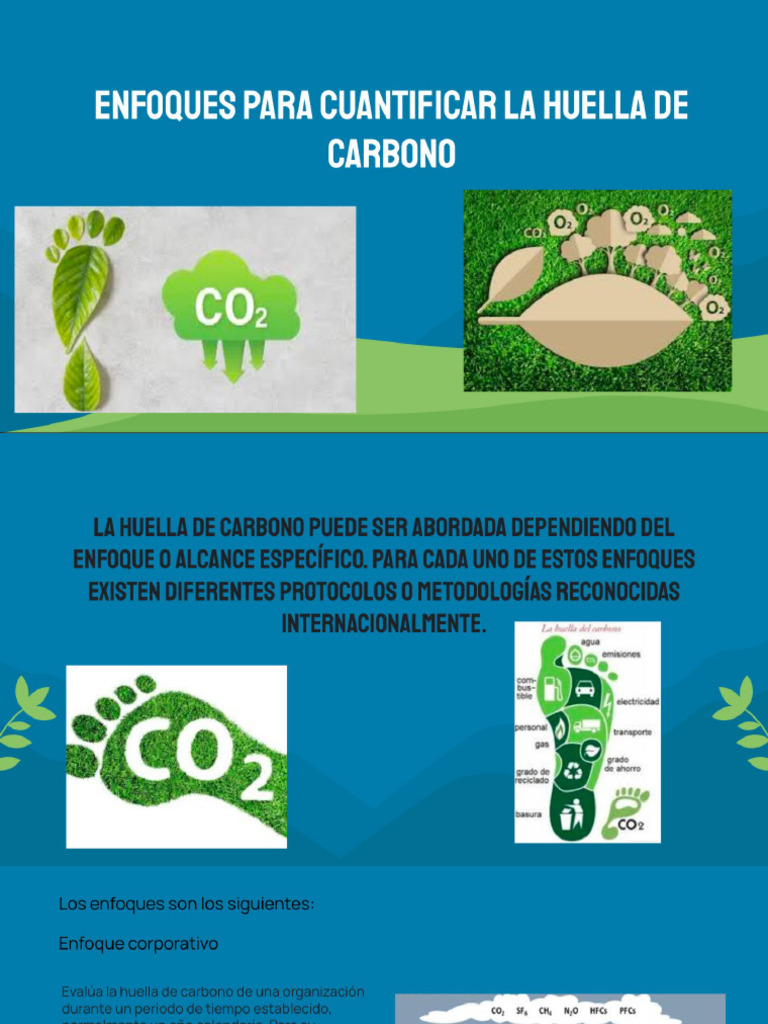 Trabajo Huella de Carbono | PDF | café | Economía baja en carbono