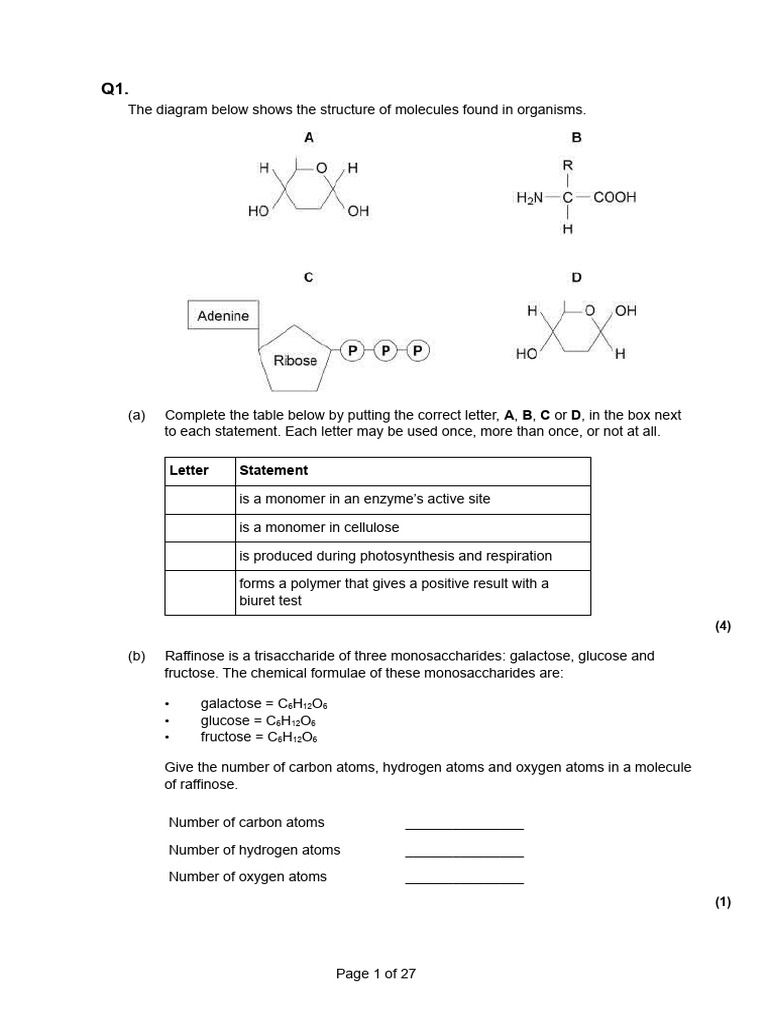 A-Level Biology Protein Exam Questions | PDF | Trypsin | Glucose