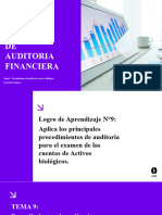 Tema 9 - Principios de Auditoria Financiera