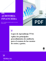 Tema 14 - Principios de Auditoria Financiera