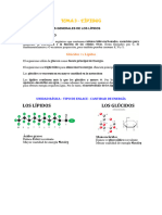 B2 - Tema 3 - Lipidos