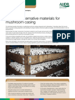 Peat and Alternative Material For Mushroom Casing