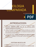 Miologia Comparada II PDF Clases