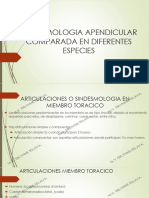 Sindesmologia Comparada Apendicular Final Anat Ii PDF