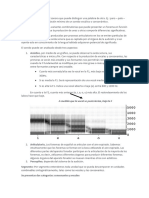 Segundo Parcial de Fonetica y Fonologia