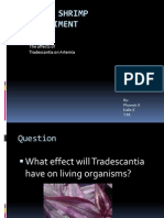 Brine Shrimp Experiment: The Affects of Tradescantia On Artemia