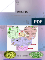 REINOS