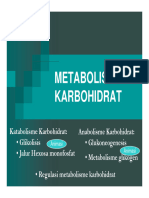 Pertemuan 5-6metabolisme KH