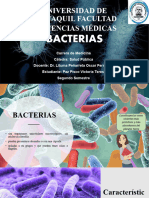 Clase 11 - Bacterias y Antibioticos - Victoria Teresa Paz Pisco - Grupo 4 2