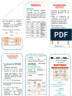 Triptico Sistema Endocrino