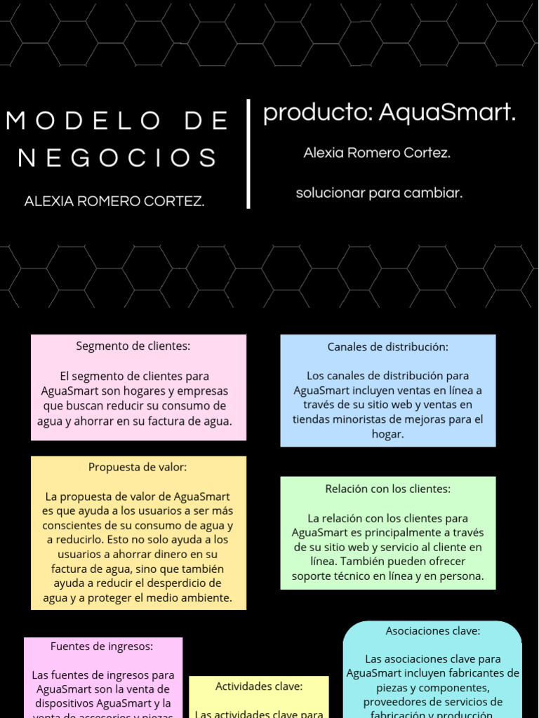 Modelo de Negocios | PDF | Soporte técnico | Comercio electrónico