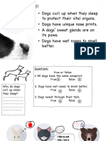 Dogs - Worksheet