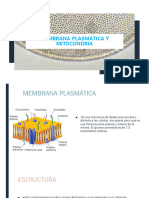 Presentación MEMBRANA PLASMATICA Y MITOCONDRIAexpo001