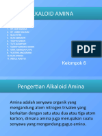 Kelompok Vi Amina