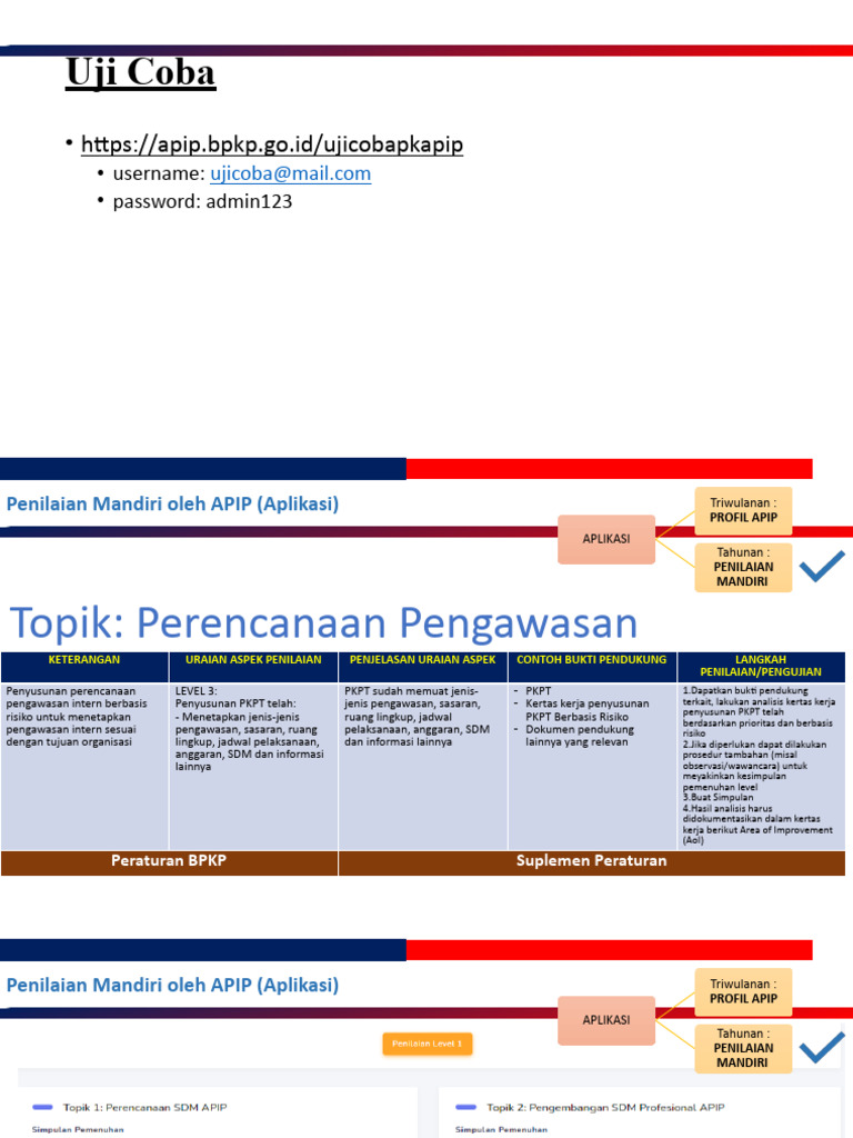 Penilaian Mandiri APIP: Panduan dan Bukti | PDF