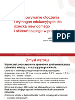 Dostosowywanie Otoczenia I Wymagan Edukacyjnych Dla Dziecka Niewidomego I Slabowidzacego W Przedszkolu