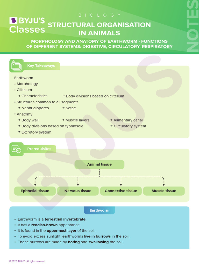 Structural Organisation in Animals PDF Gastrointestinal Tract