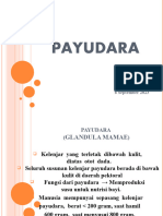 PP Payudara 2023