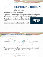 ANIMAL Nutrition