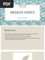 Median Nerve