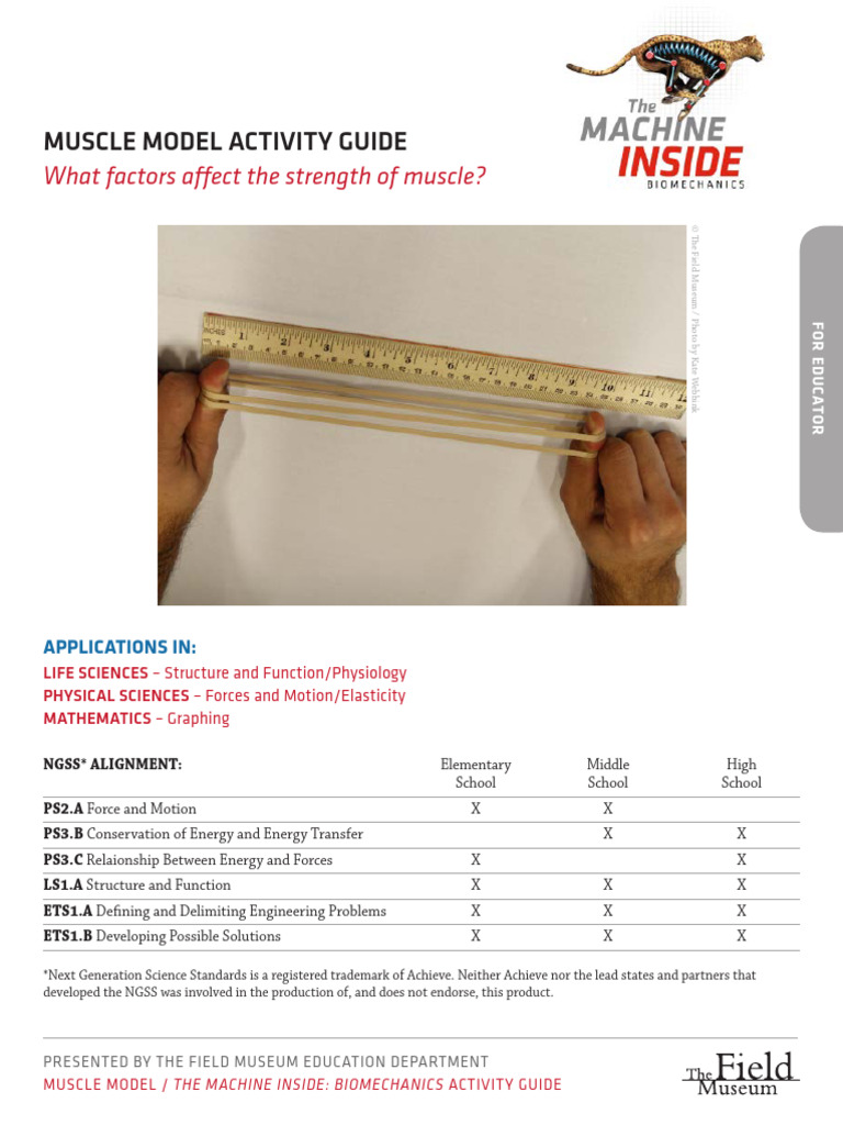 Bioguide-Musclemodel 0 | PDF | Skeletal Muscle | Biomechanics