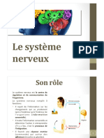 Systeme Nerveux