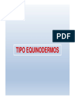 Equinodermos 2018