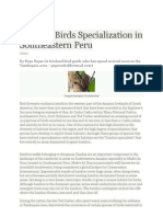 Bamboo Birds Specialization in Southeastern Peru