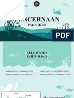 Pencernaan 4