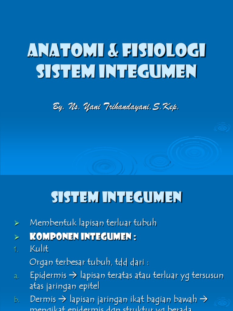 Anatomi dan Fisiologi Sistem Integumen | PDF