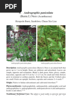Download 12b1705 Andrographis Paniculata Sambiloto by fajar1987 SN69377578 doc pdf