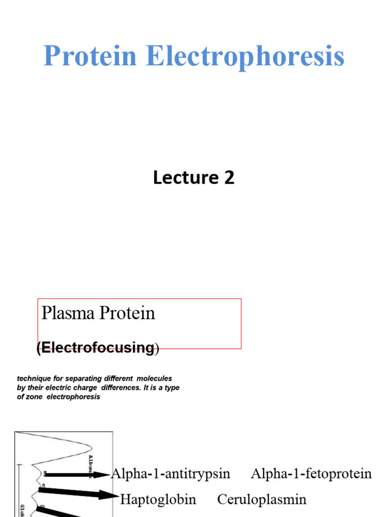 Lecture 2 Protein Electrophoresis PDF