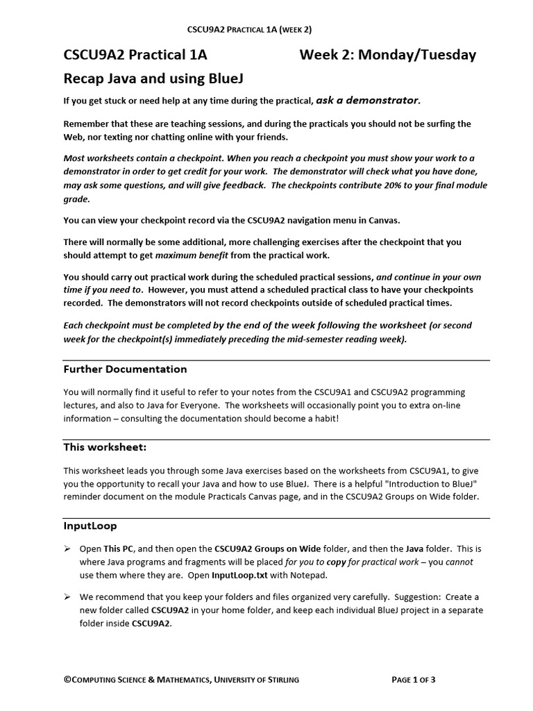 Practical 1 A | PDF | Computer Program | Programming