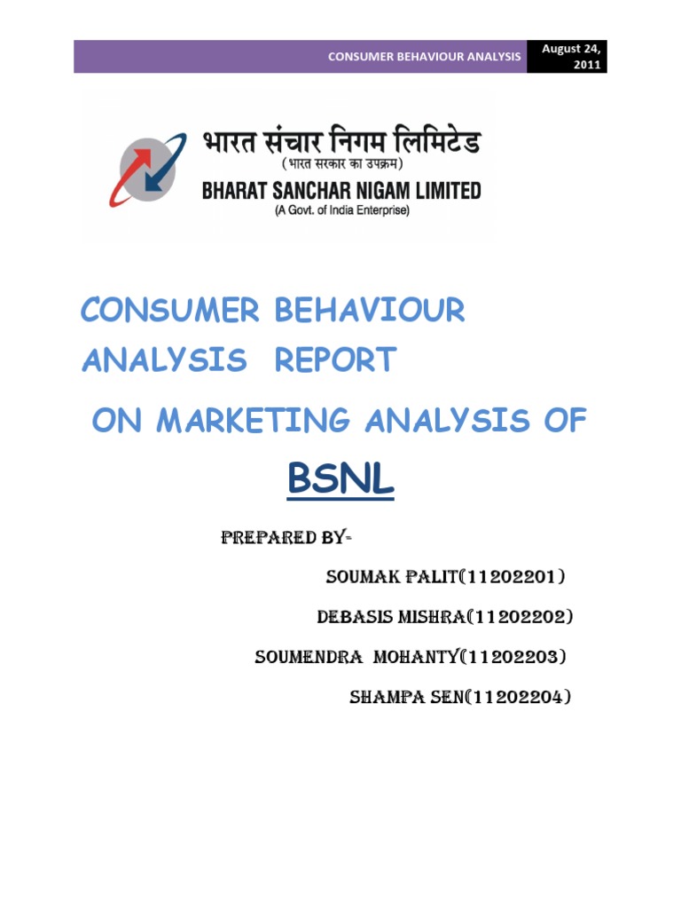 BSNL Consumer Behavior Analysis Report | PDF | Consumer Behaviour ...