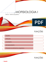 6 - Sistema Esquelético