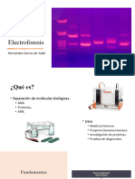 Electroforesis