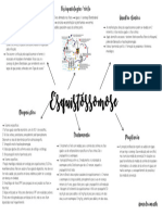 Esquistossomose Descrição